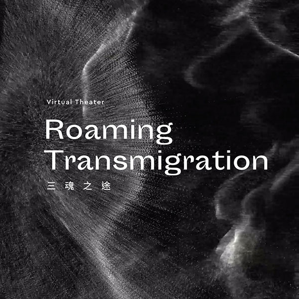 Virtual Theater: Roaming Transmigration